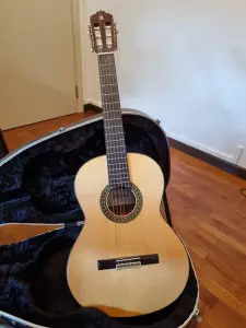 قیمت و خرید گیتار آدمیرا f5